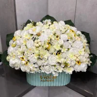 گل بله برون|گل مصنوعی|زنجان, |دیوار