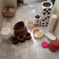 کل گلدون با هم فروخته میشه|گل و گیاه طبیعی|قم, انسجام|دیوار