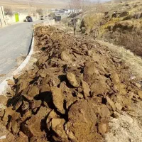 کود گوسفندی تحویل در باغ
