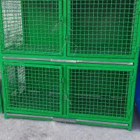 فروش کبوتر دوکتی سرخ|پرنده|خمینی‌شهر, |دیوار