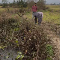 باغ مناسب کیوی سند ثبتی چسبیده به مسکونی|فروش زمین و ملک کلنگی|پرهسر, |دیوار