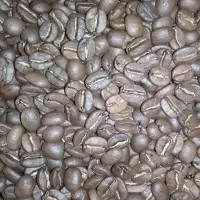 قهوه مارزاکو مرودشت