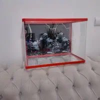 آکواریوم شیشه خم شرکتی K500 دلسا