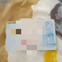 کارت ملی گمشده و کارت بانکی مسعود محمدی مقدسی