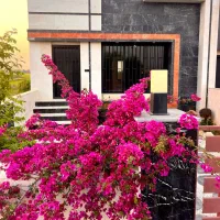 همکف کیوت و شیک۱۵۰m/انشعابات/کوچه خصوصی و دنج
