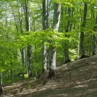 راهنمایی میخوام|فعالیت داوطلبانه|تهران, آهنگ|دیوار