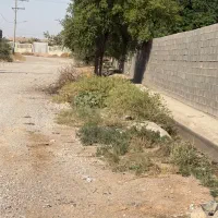 زمین|فروش دفتر صنعتی، کشاورزی، تجاری|دزفول, |دیوار