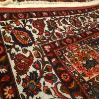 قالی دستباف چالشتر..۲×۳|فرش|شهرکرد, |دیوار