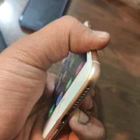 iphone 8 plus 64 lla|موبایل|کرمان, |دیوار