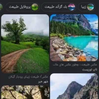 تور و گردش