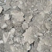 بار خشک به شرط