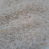 برنج درجه ۱ الموت غربی