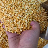 حبوبات|خوردنی و آشامیدنی|اصفهان, راران|دیوار