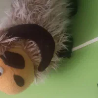 دو عدد عروسک|اسباببازی بچه|میانه, |دیوار