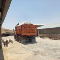 ۰۰۰۰|خدمات باغبانی و درختکاری|دوگنبدان, |دیوار