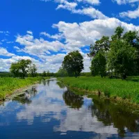 راهنمایی کنید
