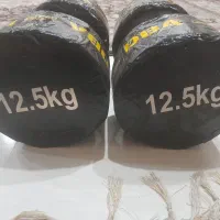 یک جفت دمبل بتنی 12.5 کیلویی