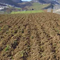 زمین ۱۰۰۰متری ۸۰ متر بر فریم|فروش زمین و ملک کلنگی|فریم, |دیوار