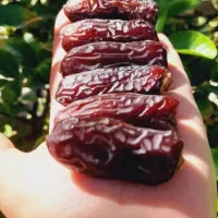 چهار تن پیارم سوپر