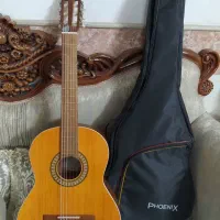 گیتار پارسیm5