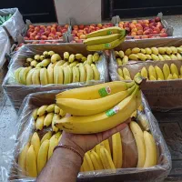 پک ترحیم مراسم|خدمات پذیرایی، مراسم|فردیس, منظریه|دیوار