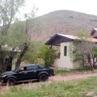 باغ-سربندان-مزرعه-درخت-بید