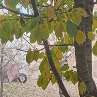 ۸۰ متر یک خواب