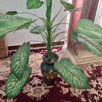 درختچه|گل مصنوعی|خرمشهر, |دیوار