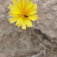 آتلیه آنلاین عکس