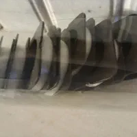 نخ مروارید بافی