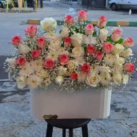 پایه گل|گل و گیاه طبیعی|مشهد, امیر|دیوار