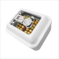 جوجه کشی دارم  تخم بوقلمون بیار  .صحنه