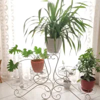 استند گل و گیاه
