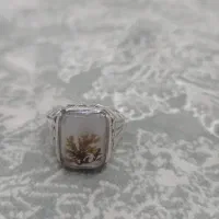 انگشتر شجر|کلکسیون اشیاء عتیقه|کرمانشاه, |دیوار