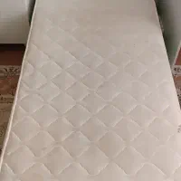 تشک نوجوان رویا