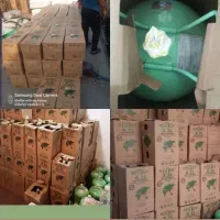 گاز R22 وسترون 13.6kg شیر فلکه ای ،اصلی