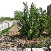 ملاباشی میدان شهید پورجعفر کوچه پرستار۲