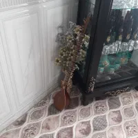 سه تار  درجه یک * مهر سهیل *. ارسال هم دارم|سازهای سنتی|شهریار, رضی آباد بالا|دیوار