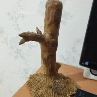 فروش معاوضه لوازم آکواریوم با فلش و اکانت کلش