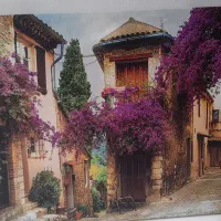 تابلو|تابلو، نقاشی، عکس|رفسنجان, |دیوار