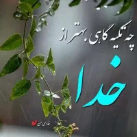 نیازمند به راهنمای هستم سرمایه
