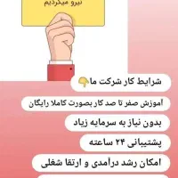 مدرس درآمدزایی|استخدام بازاریابی و فروش|رامسر, |دیوار