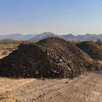 کود گاوی