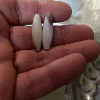 انواع مهره بردفعال.ضمانت برگشت