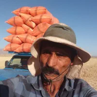 خریدوفروش علوفه دام