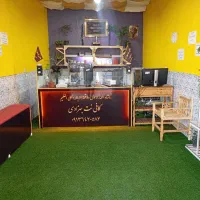 کافی نت بهزادی بم