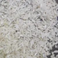 برنج کامفیروز بشرط پخت