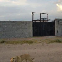 فروش باغ ۵۰۰متری