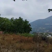 فروش زمین سوادکوه روستای سرسبز کلاریجان|فروش زمین و ملک کلنگی|آلاشت, |دیوار