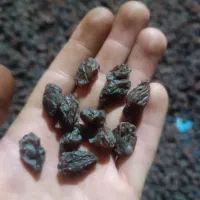 مویز درشت امساله پاک شد